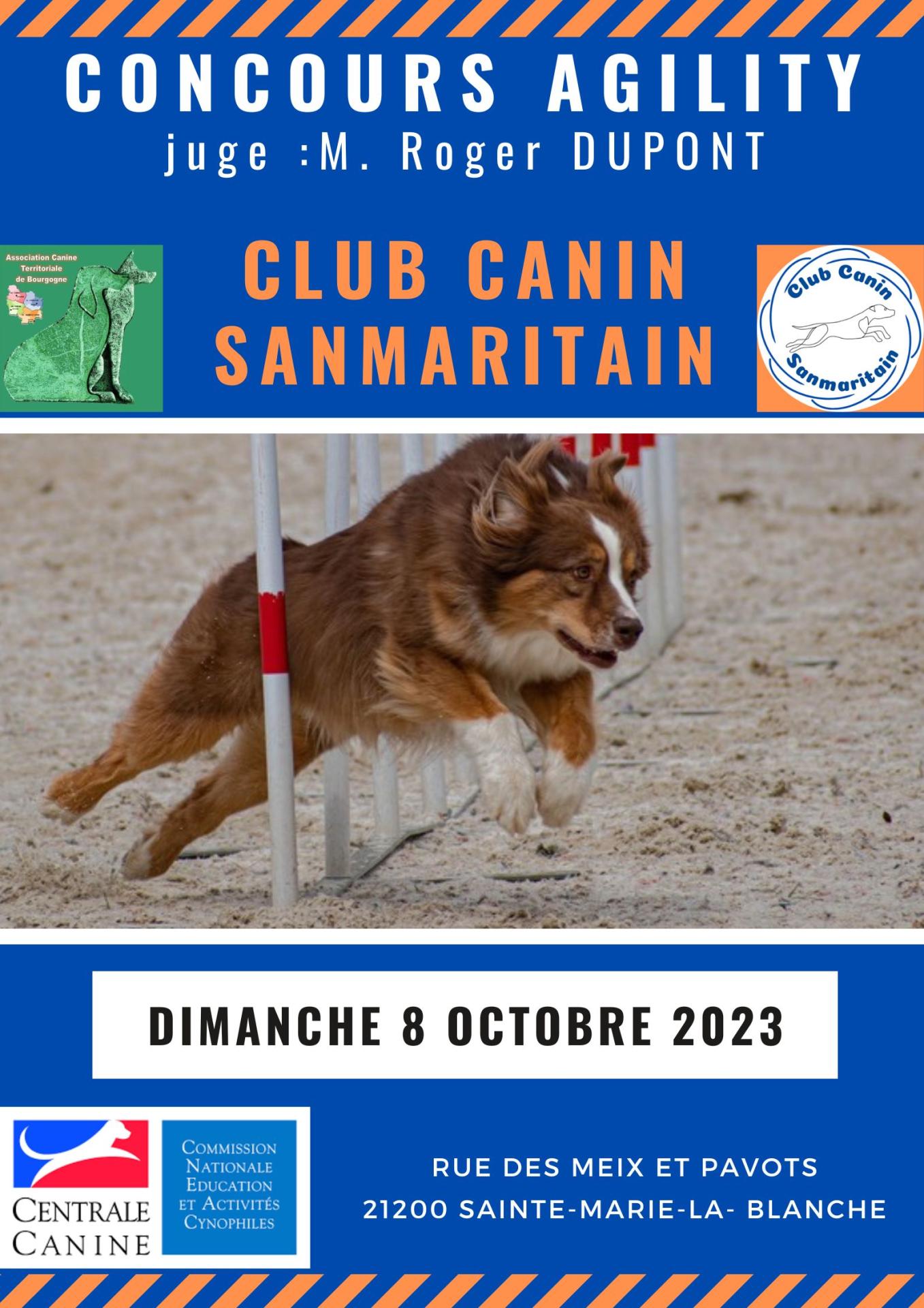 Affiche club canin