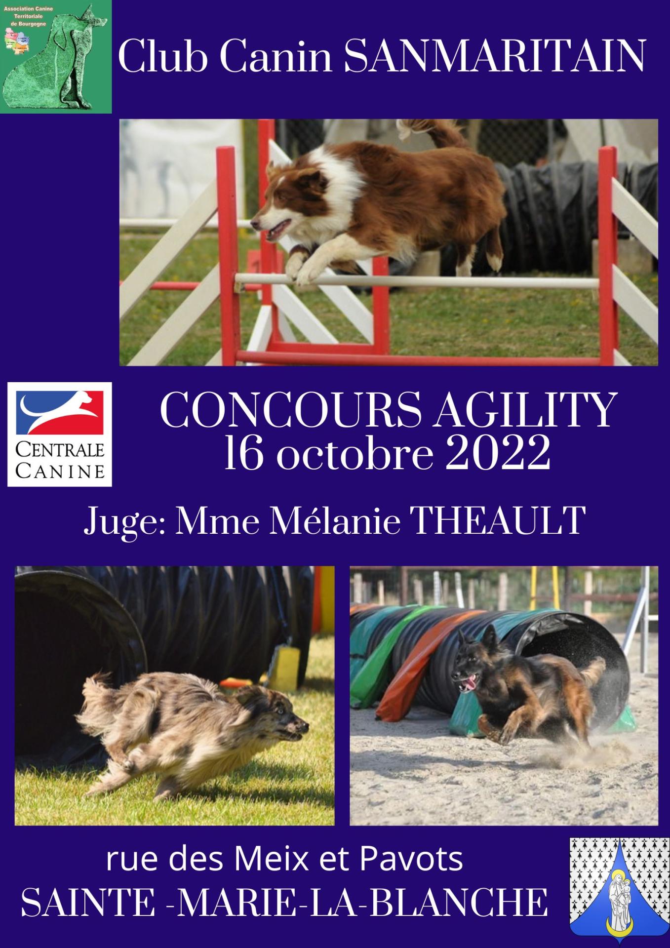 affiche concours agility